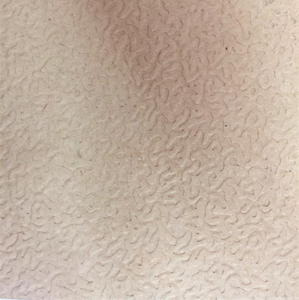 surface :stucco emboss/orange peel
